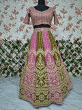 Beautiful Designer Lehenga set