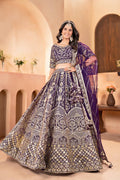 Regal Radiance Wine Net Designer Lehenga Choli